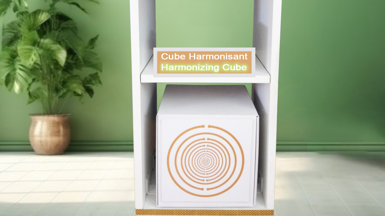 Cube Harmonisateur d'environnement SWG Générateur d'Ondes Scalaires – Image 5