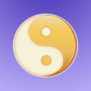 Emetteur Radionique : Tao Yin Yang (Grand modèle A4)
